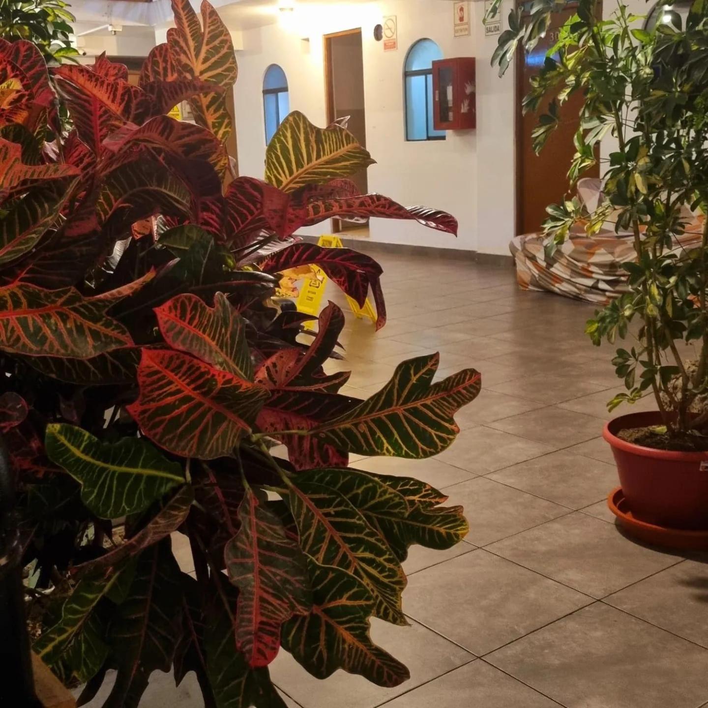 Hostel Thay83 Miraflores Лима Екстериор снимка